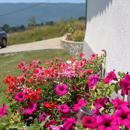 Kuca Za Odmor Ravancic *