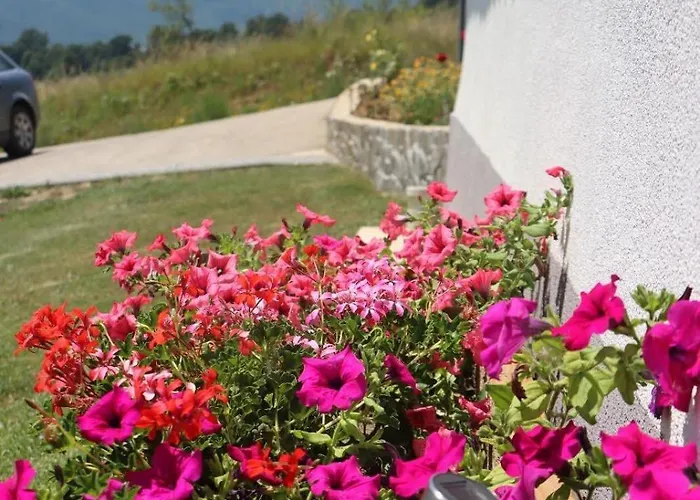 Kuca Za Odmor Ravancic *